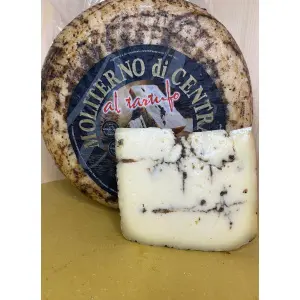 Moliterno al Tartufo